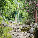 Nera Etwa House Hébergement de vacances Lovorje