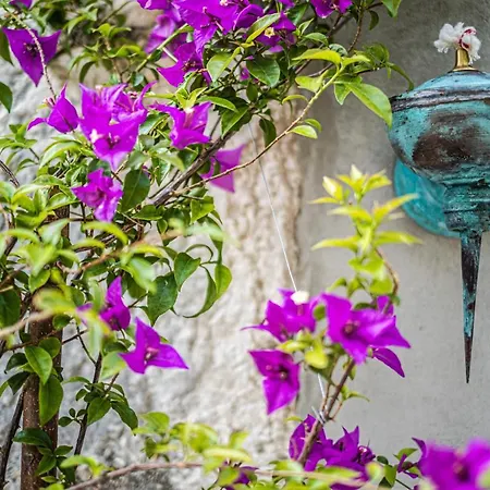 Vakantiehuis Nera Etwa House Lovorje