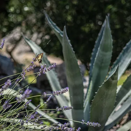 Vakantiehuis Nera Etwa House