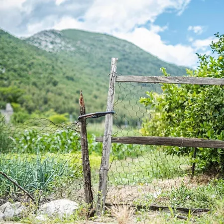 Nera Etwa House Vakantiehuis *