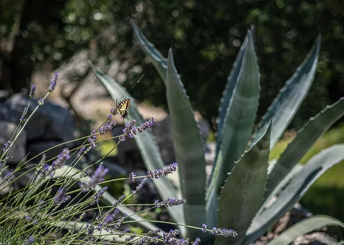 Dom wakacyjny Nera Etwa House