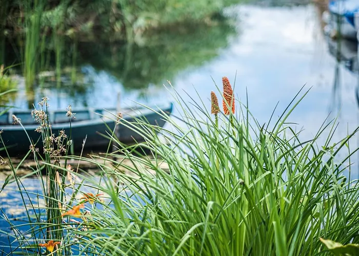 Dom wakacyjny Nera Etwa House Lovorje