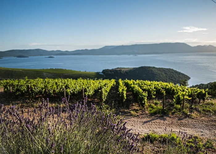 Dom wakacyjny Nera Etwa House Lovorje